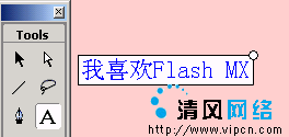 Flash MX ıƪ(ֹߺINPUTı)[ͼ]ͼƬ1