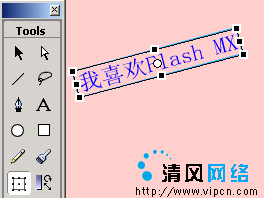 Flash MX ıƪ(ֹߺINPUTı)[ͼ]ͼƬ3